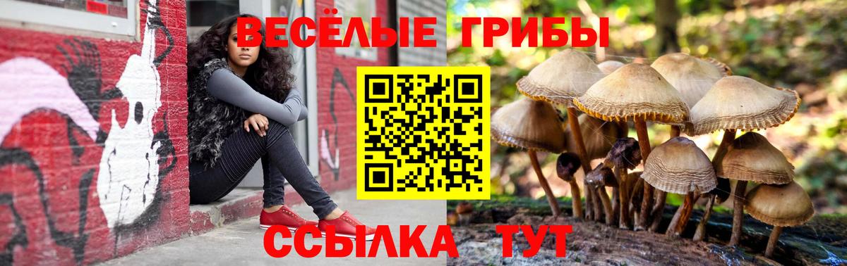 Псилоцибиновые грибы GOLDEN TEACHER  Вход с VPN  дарнет шоп  Соликамск 